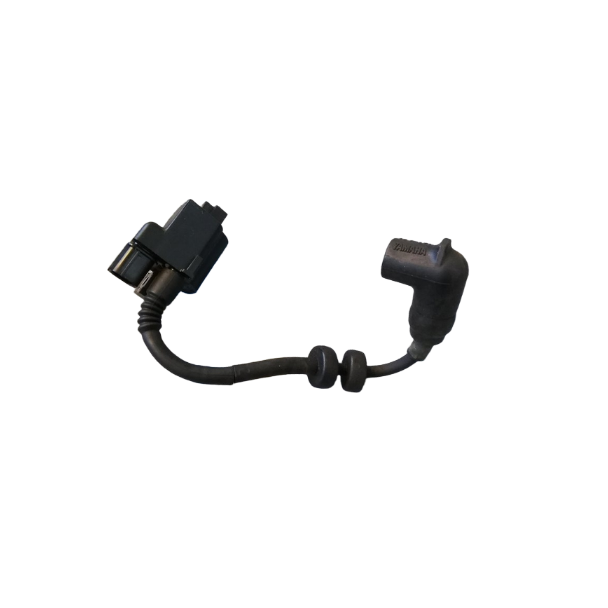 Yamaha 6BW-85571-01 Tennspole med CDI – F5A