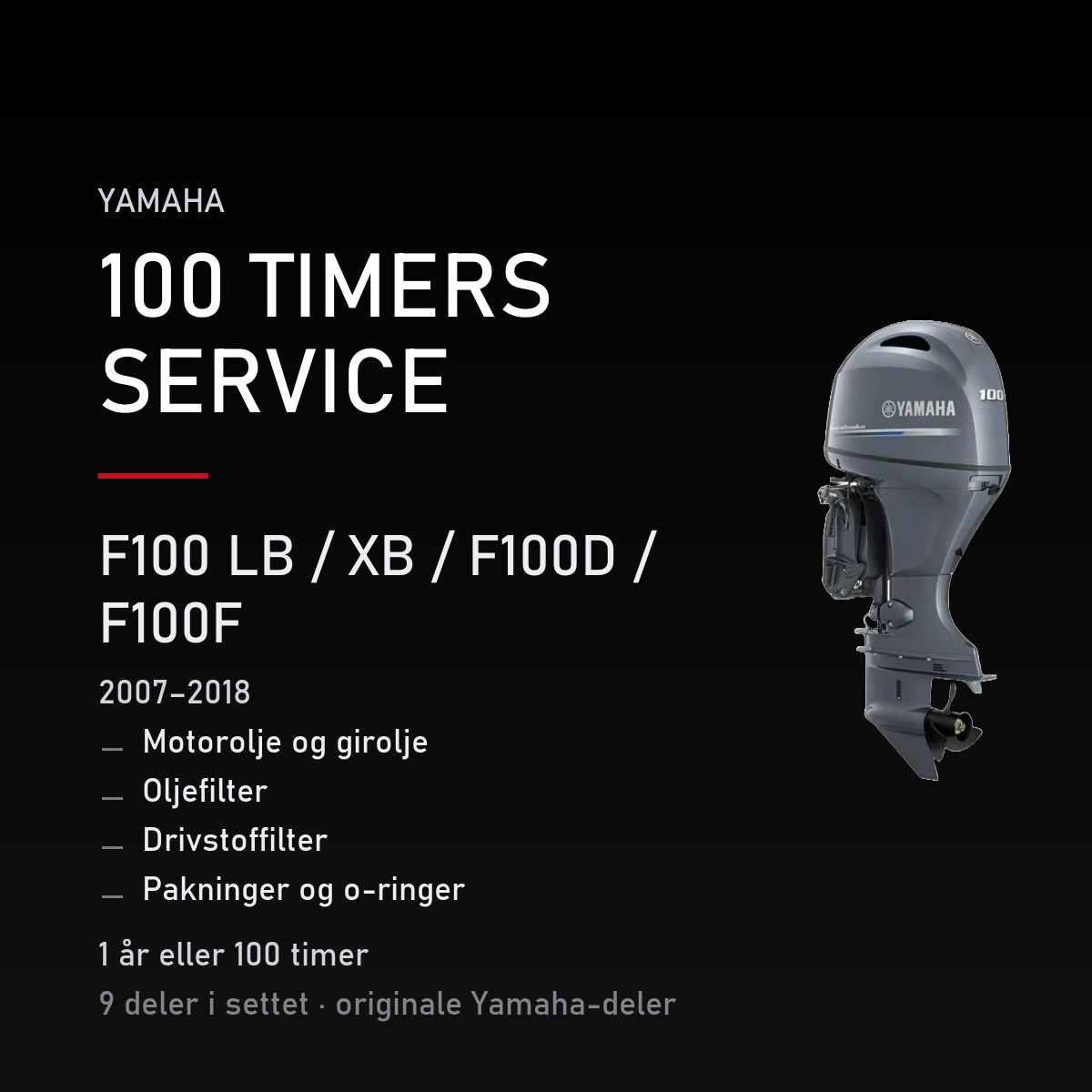 Yamaha F100-LB-XB – Yamaha F100 LB / XB / F100D / F100F (2007–2018) – 100-timers service