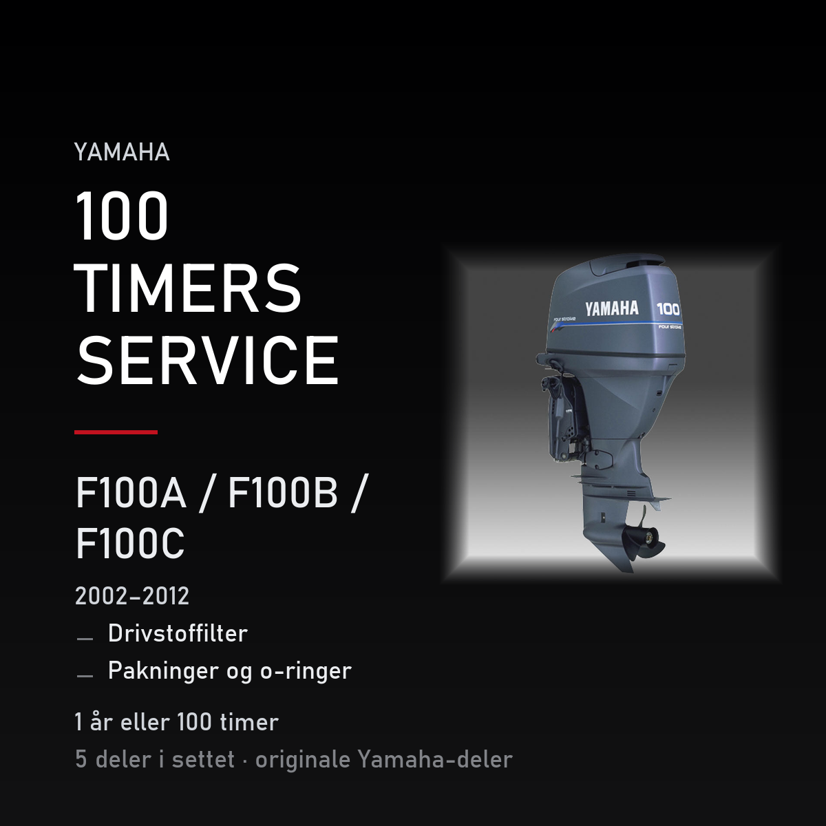 Yamaha F100A – Yamaha F100A / F100B / F100C (2002–2012) – 100-timers service