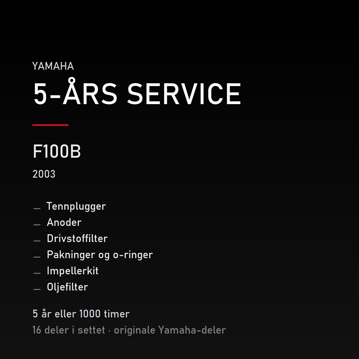 Yamaha F100B (2003) – 5-års service – innhold i settet