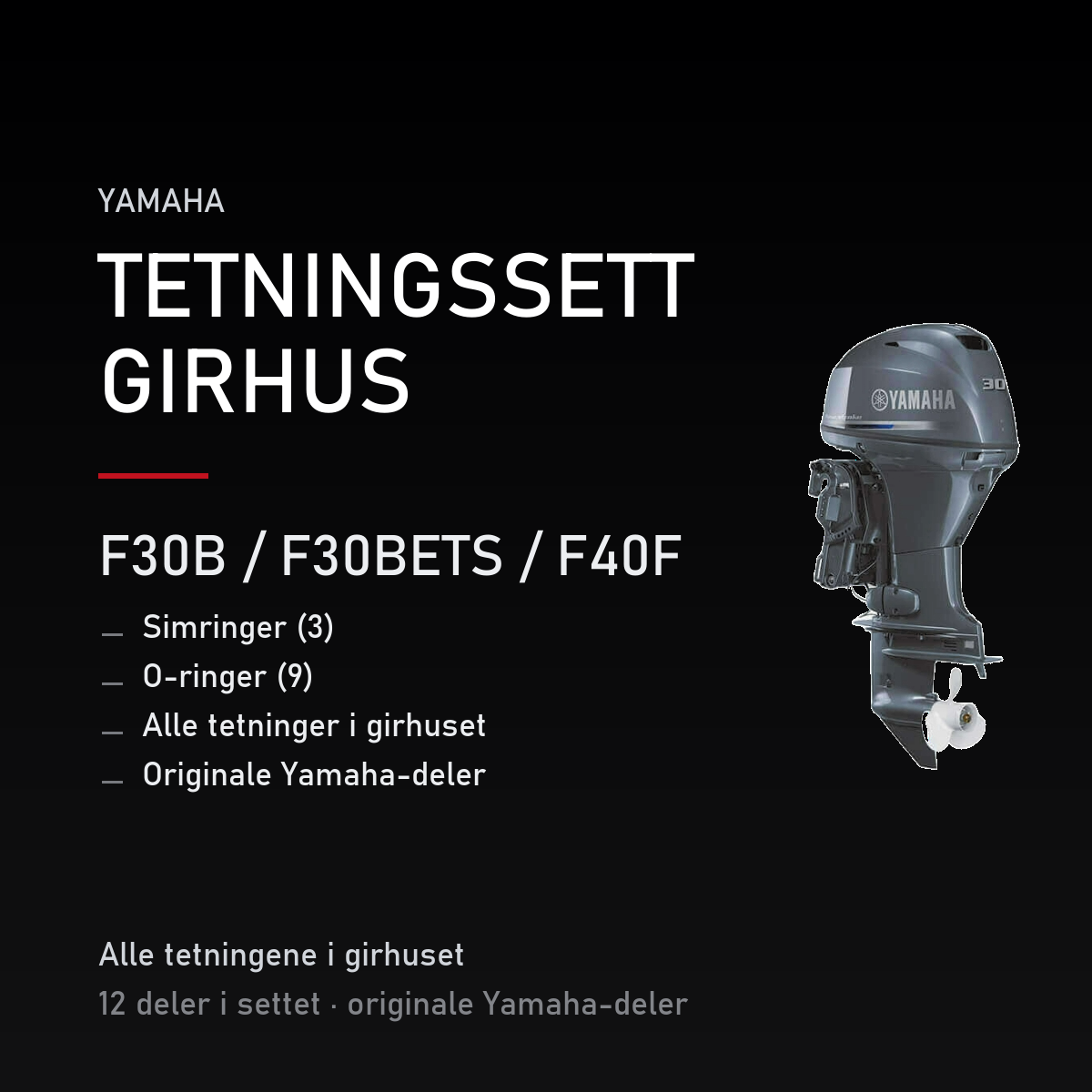 Yamaha F30B – Yamaha F30B / F30BETS / F40F – tetningssett girhus