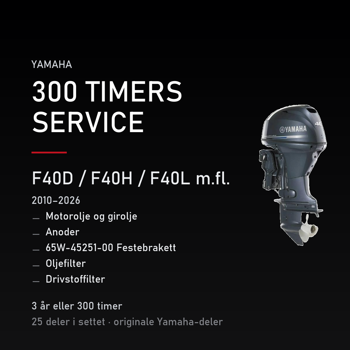 Yamaha F40D – Yamaha F40D / F40H / F40L m.fl. (2010–2026) – 300 timers service