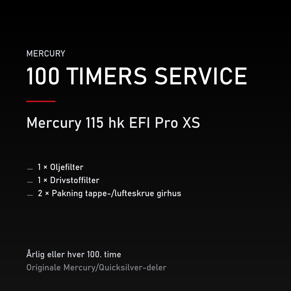 Mercury servicekit 100 timer – 115 hk EFI Pro XS – servicekit