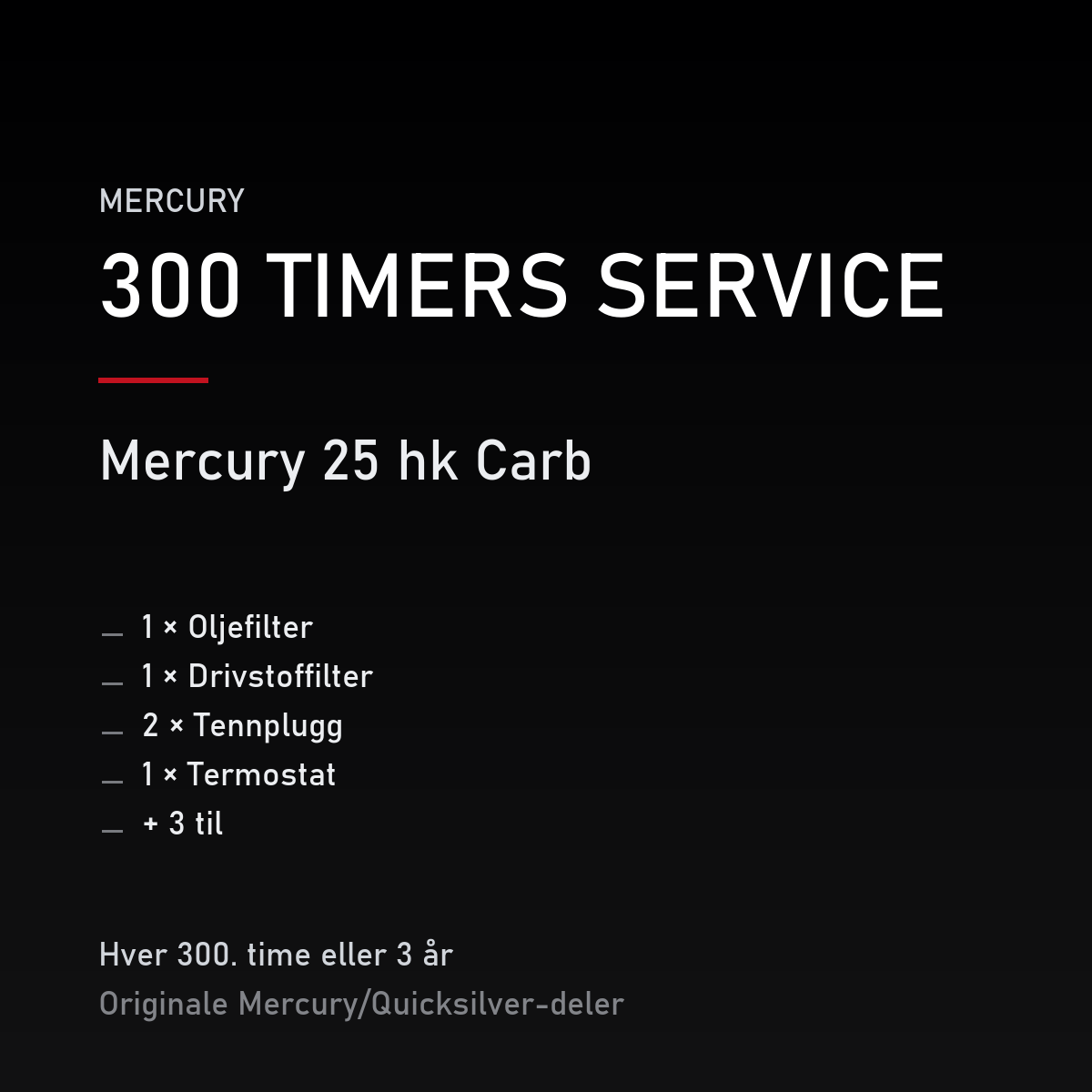 Mercury servicekit 300 timer – 25 hk Carb – servicekit