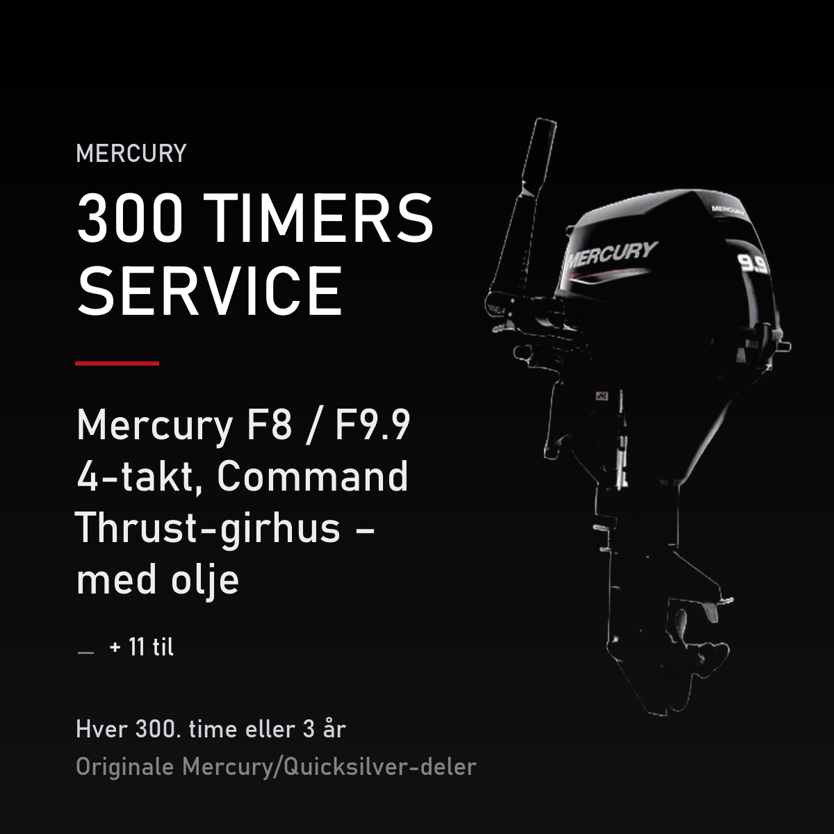 Mercury servicekit 300 timer 8M0120867 – F8 / F9.9 4-takt, Command Thrust-girhus – med olj – servicekit