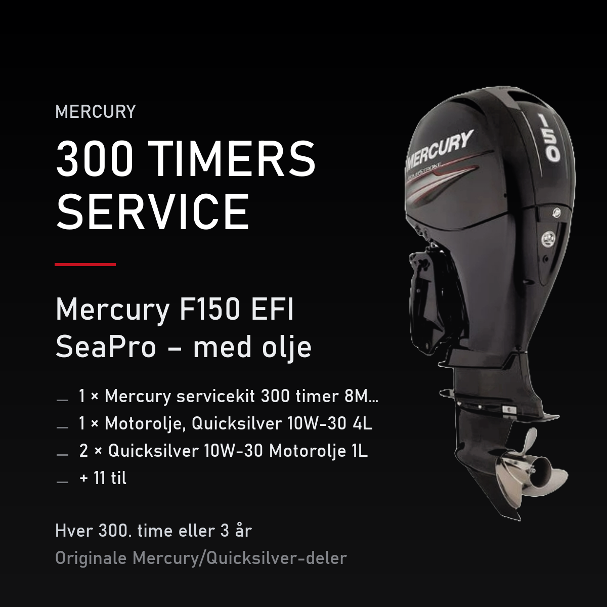 Mercury servicekit 300 timer 8M0163132 – F150 EFI SeaPro – med olje – servicekit
