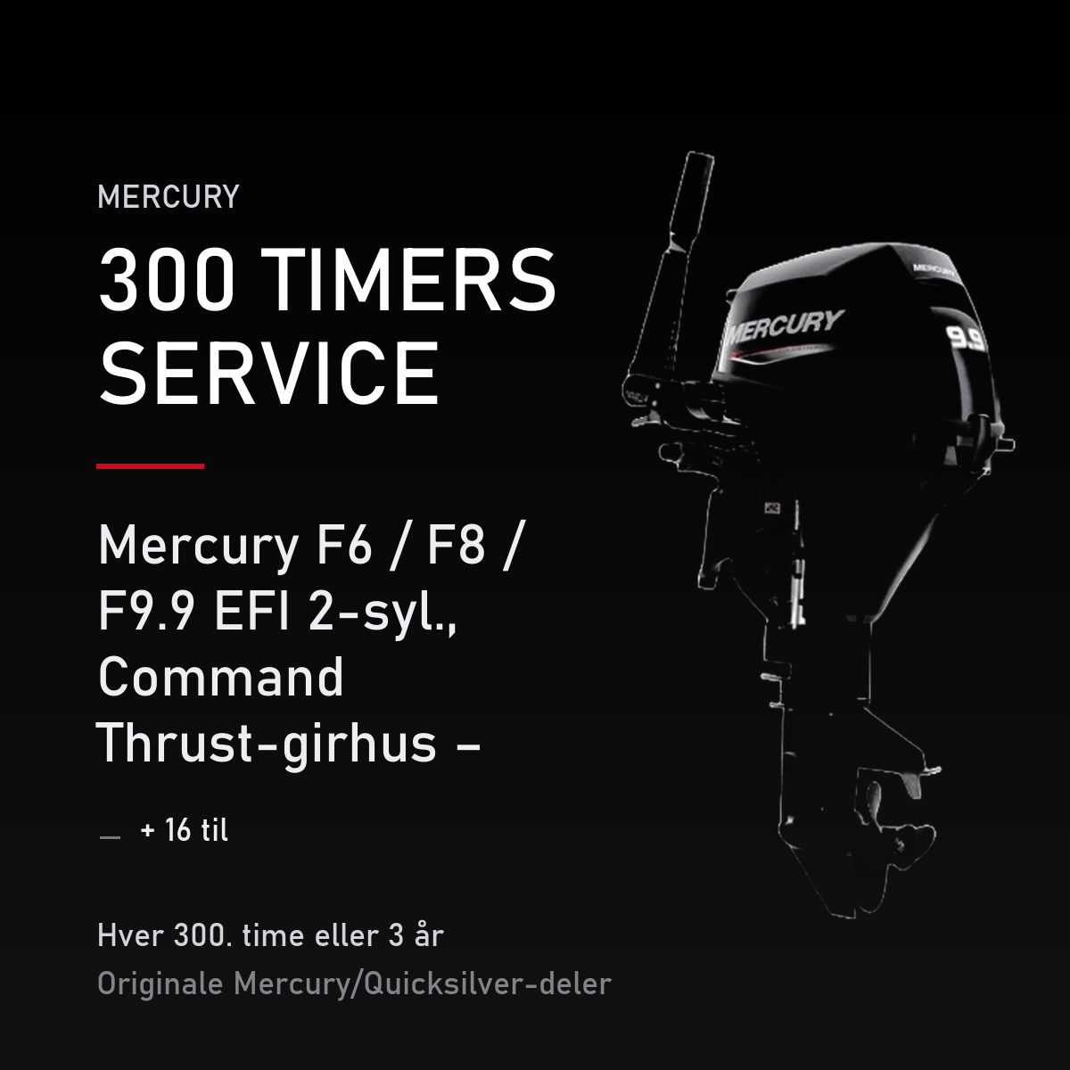 Mercury servicekit 300 timer 8M0227355 – F6 / F8 / F9.9 EFI 2-syl., Command Thrust-girhus – servicekit