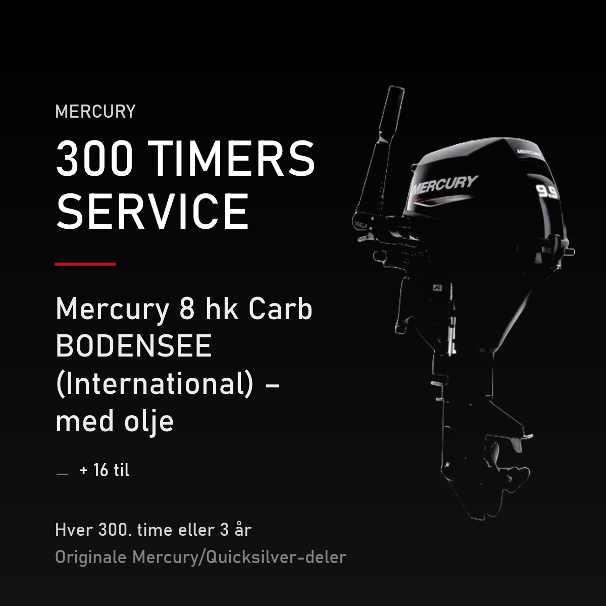 Mercury servicekit 300 timer – 8 hk Carb BODENSEE (International) – med olje – servicekit