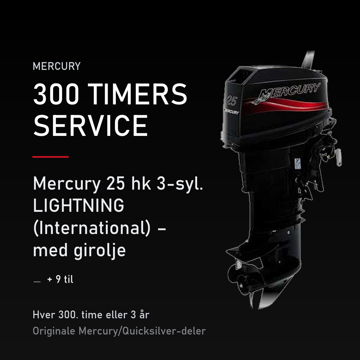 Mercury 2-takt servicekit 300 timer – 25 hk 3-syl. LIGHTNING (International) – med girolje – servicekit