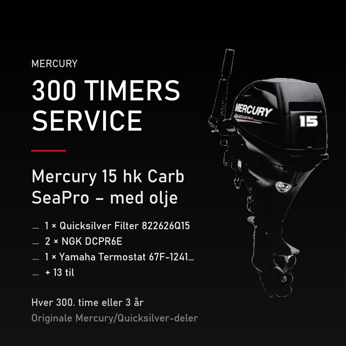 Mercury servicekit 300 timer – 15 hk Carb SeaPro – med olje – servicekit