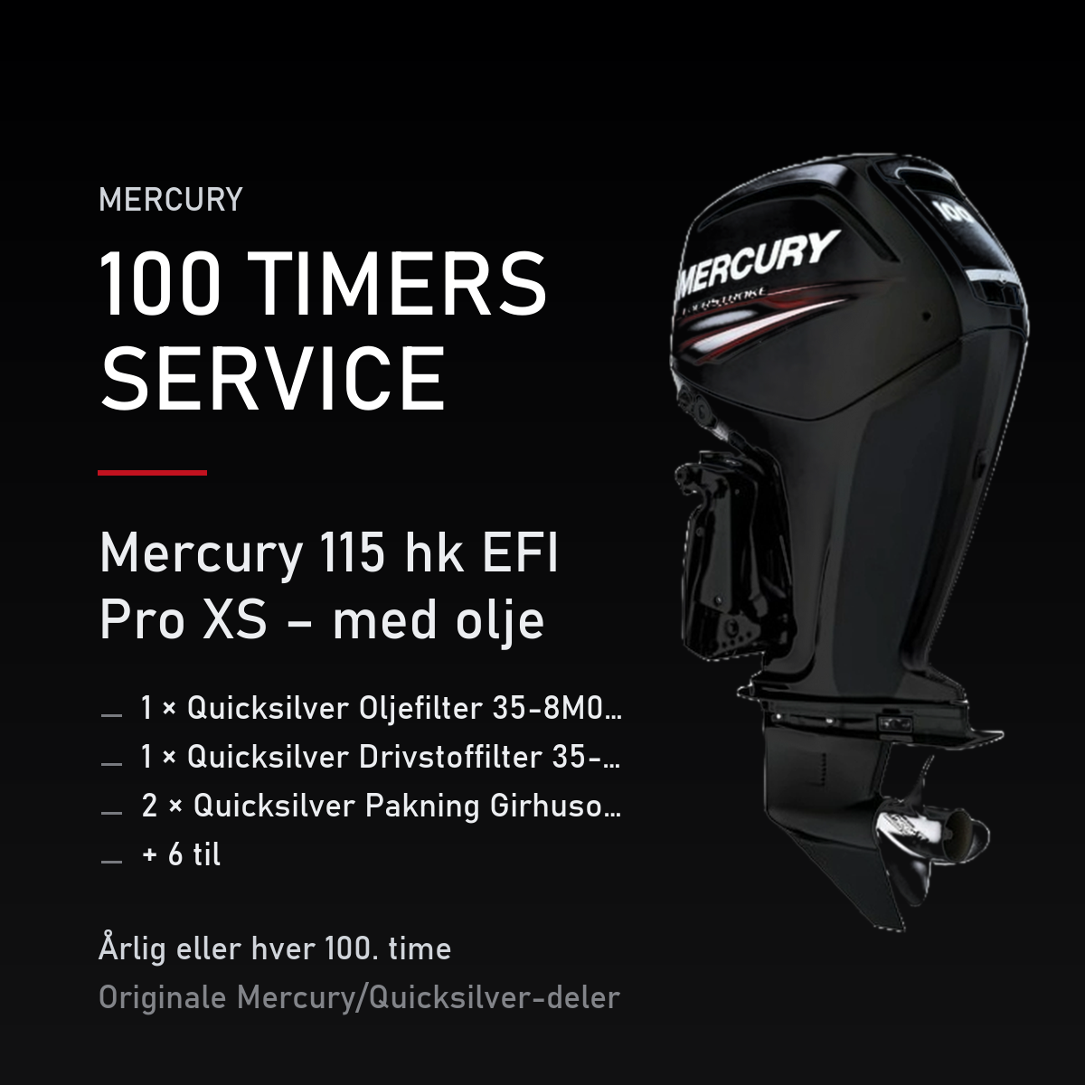 Mercury servicekit 100 timer – 115 hk EFI Pro XS – med olje – servicekit