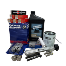 Evinrude E-TEC G1 135–200 H.O. (2009–2020) 300t servicekit med anoder