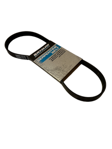 Quicksilver Generatorrem 57-8M0218433