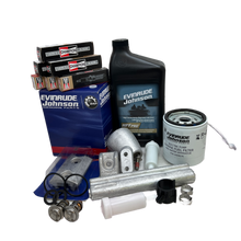 Evinrude Etec G2 200 - 300 hk 300 timmars kit