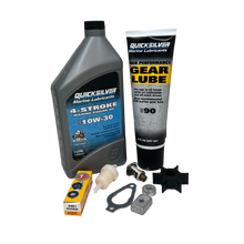 Mercury 4 - 5 - 6 hk (1999 - nu) 300-timmars kit