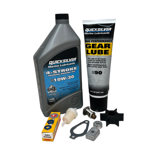 Mercury 4 - 5 - 6 hk (1999 - nu) 300-timmars kit