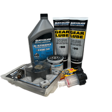 Mercury 10 - 15 - 20Hk (EFI) 300-timmarssats