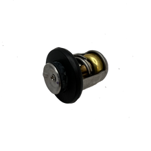 Quicksilver-termostat 8M0119207