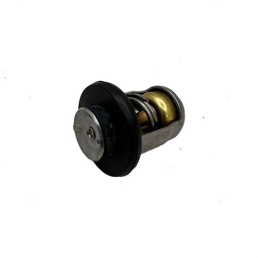 Quicksilver-termostat 8M0119207