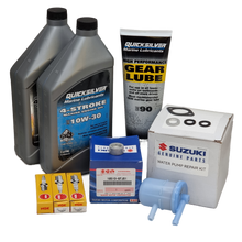 300-timmars servicesats Suzuki DF 25 - 30 hk (2001 - 2010)