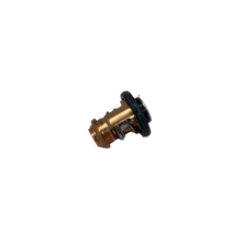 Yamaha Termostat 6AH-12411-00-00 F9.9H F15C F20B