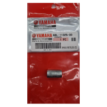 Yamaha intern anode 6BL-11325-00 – F20D / F25D