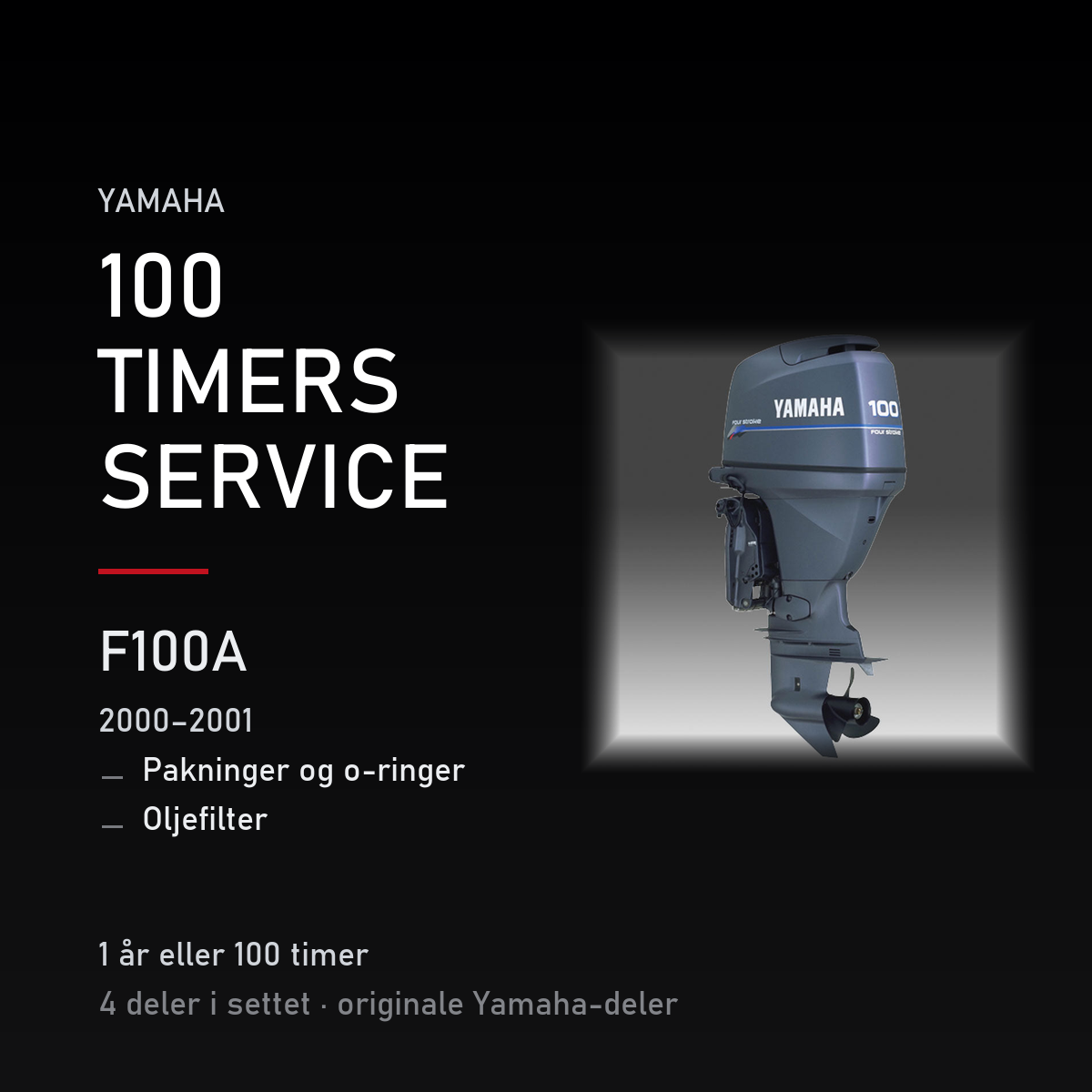 Yamaha F100A – Yamaha F100A (2000–2001) – 100-timers service