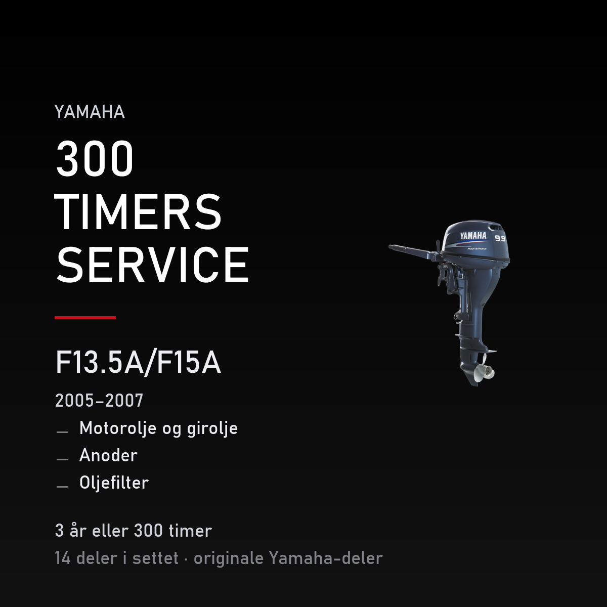 Yamaha F13-5A – Yamaha F13.5A/F15A (2005–2007) – 300 timers service