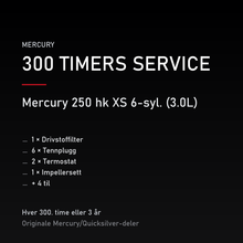 Mercury Optimax servicekit 300 timer – 250 hk XS 6-syl. (3.0L) – servicekit