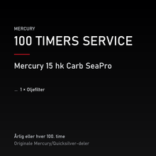Mercury servicekit 100 timer – 15 hk Carb SeaPro – servicekit