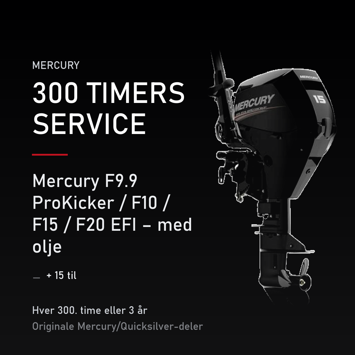Mercury servicekit 300 timer 8M0151470 – F9.9 ProKicker / F10 / F15 / F20 EFI – med olje – servicekit