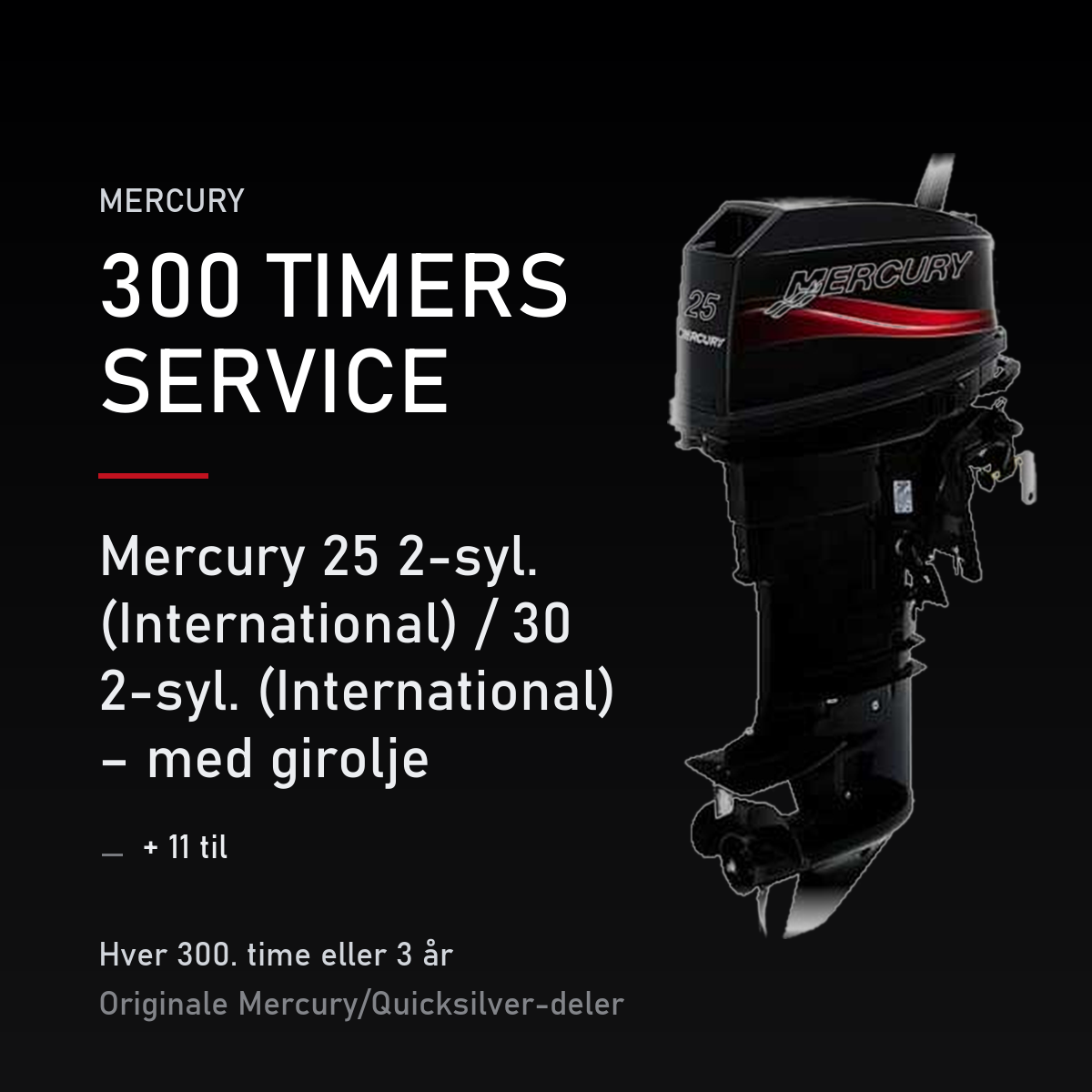Mercury 2-takt servicekit 300 timer – 25 2-syl. (International) / 30 2-syl. (International – servicekit
