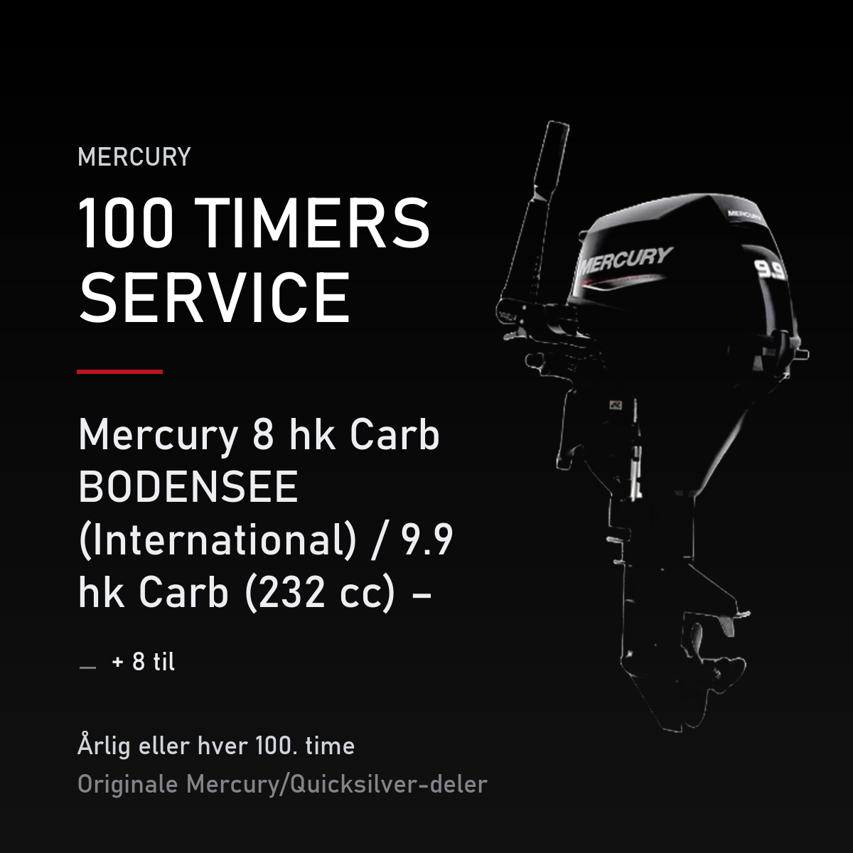 Mercury servicekit 100 timer – 8 hk Carb BODENSEE (International) / 9.9 hk Carb (232 cc) – – servicekit