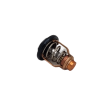 Yamaha Termostat 60V-12411-00-00